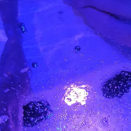 Loft Bord De - 800m Des Plages Fouras