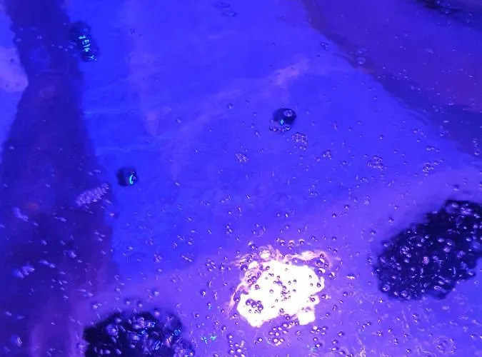 Loft Bord De - 800m Des Plages Fouras